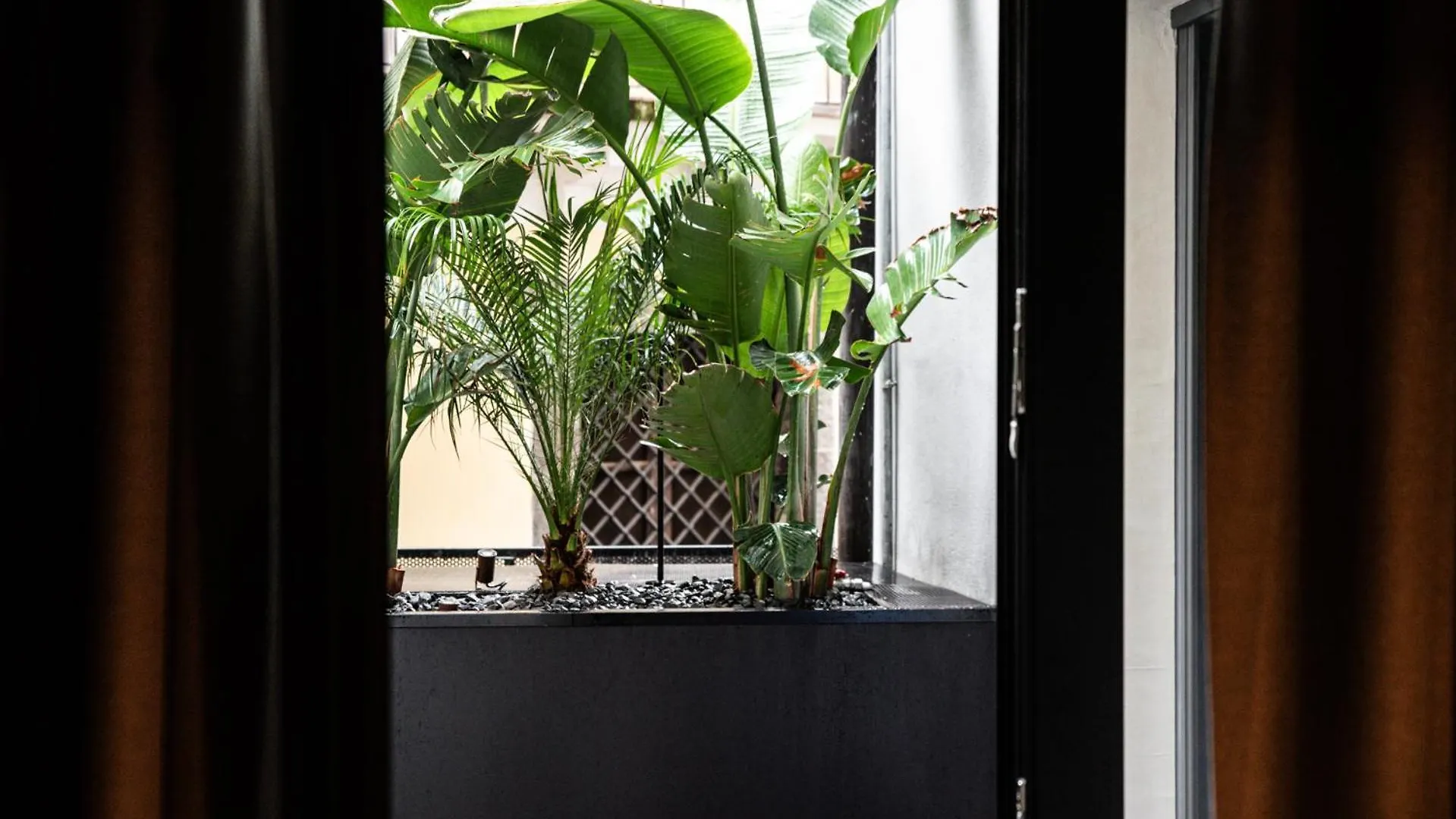Apartment Terme Di Bacco - Design Apartaments And Spa Catania